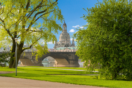 SEO Agentur in Dresden